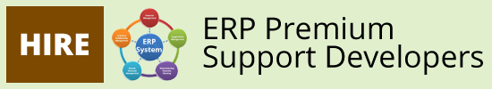 Hire ERP Support Developers in US